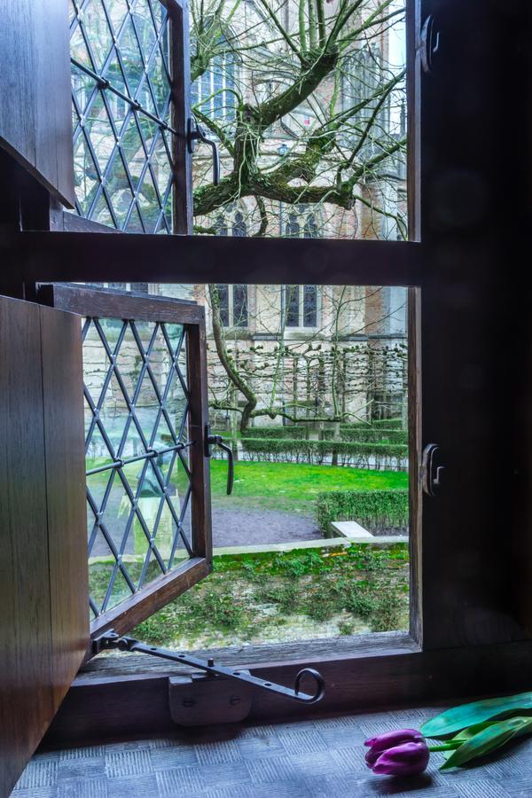 B&B Exclusive Guesthouse Bonifacius Bruges Extérieur photo